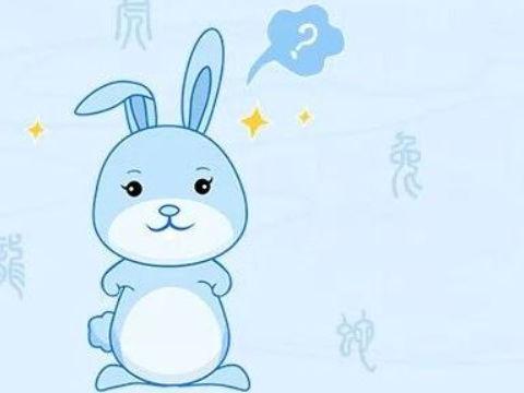 属兔人在考试前一天会做什么