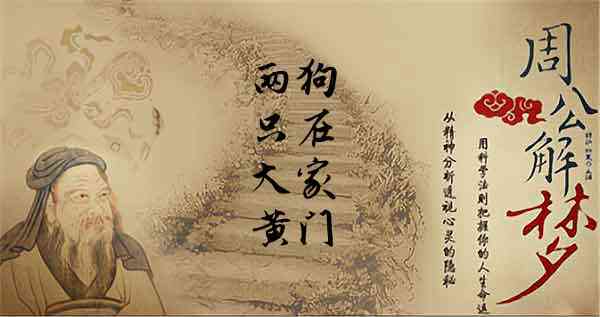梦见两条大黄狗