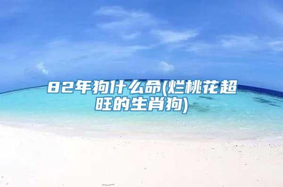 2016年生肖狗桃花攻略