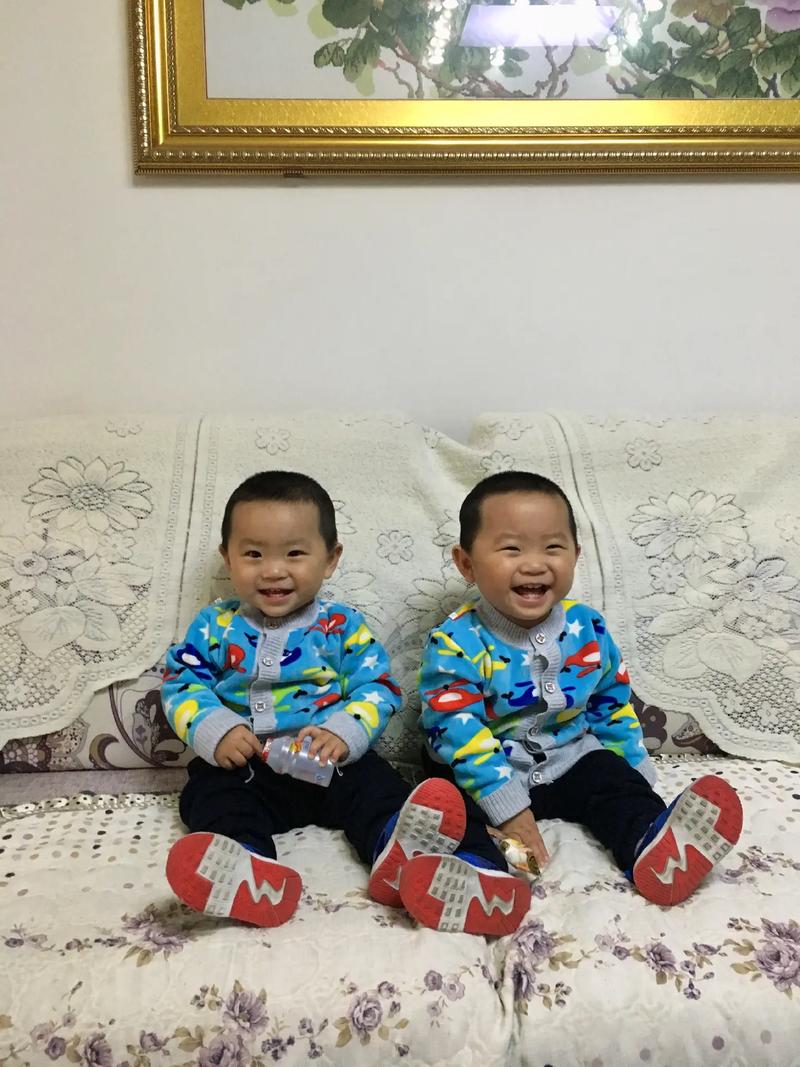双胞兄弟是什么生肖