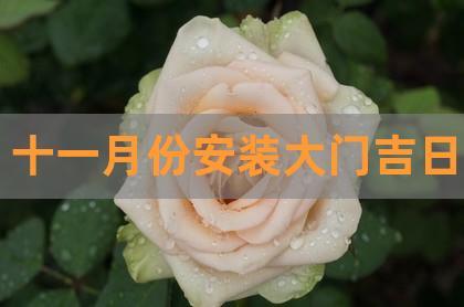 农历11月份的鲜花有哪些?农历11月份对应什么花?
