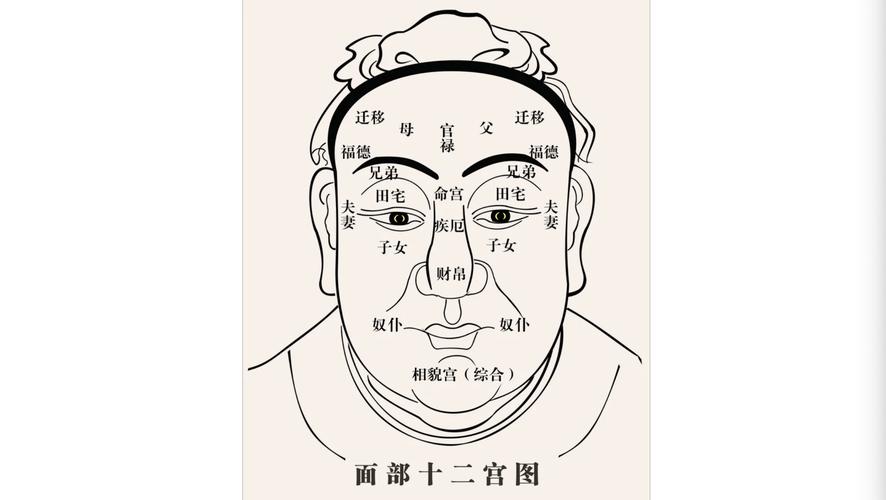 谈谈相学中的十二宫