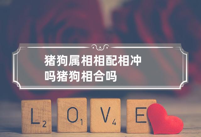 猪狗属相相配吗