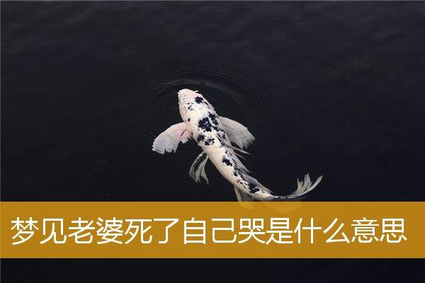 梦见老婆死了自己哭
