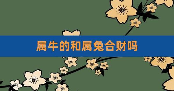 属牛和属兔的合财吗