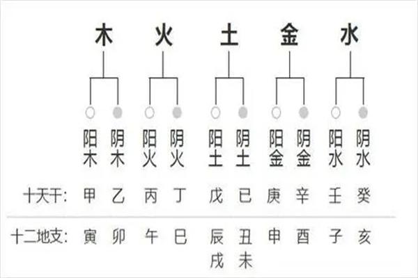 命理学,用四柱八字看身体健康
