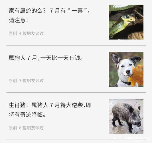 朋友对于这些生肖来说