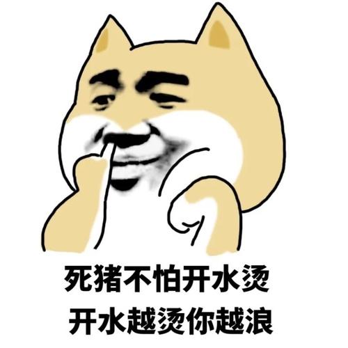 死猪不怕开水烫,越到考试越浪的星座