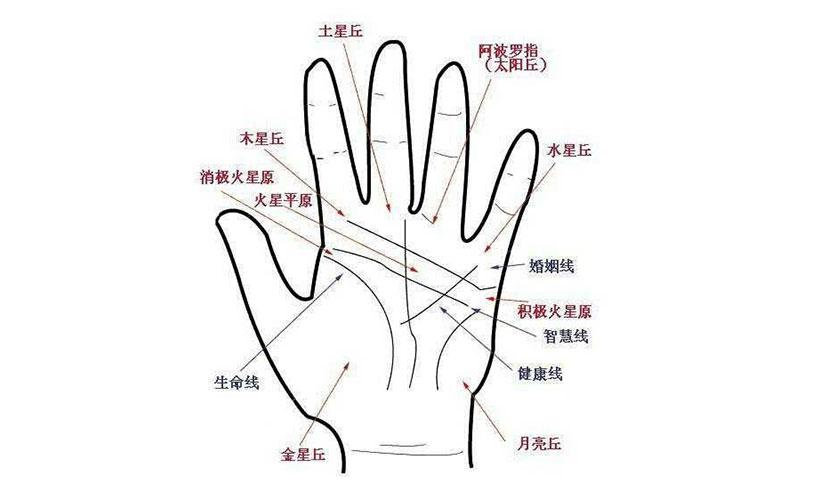 手相男怎么看 手相男生看哪只手