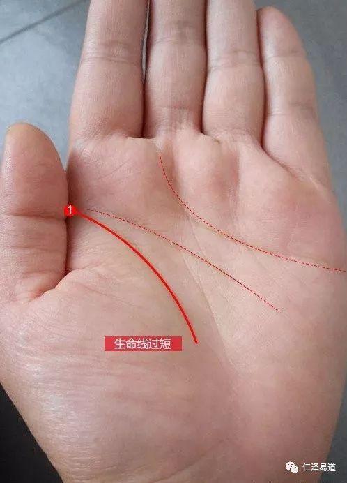有此生命线者,注定是命苦之人的手相