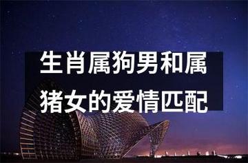 生肖猪女和生肖狗男在一起好不好