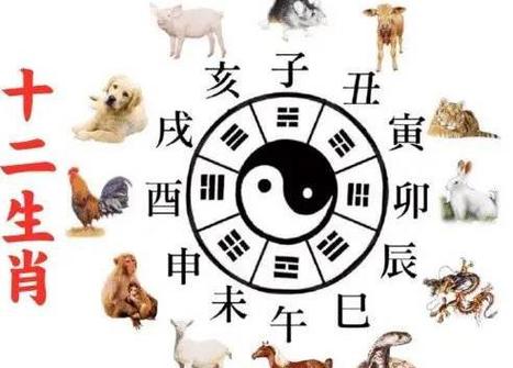 生肖出生时辰:财运好事业有成