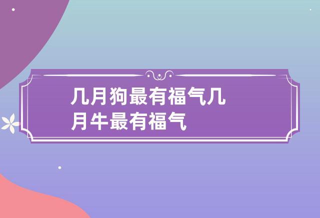 几月狗最有福气