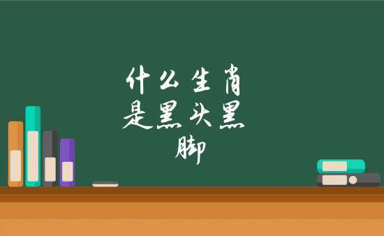 黑头黑脚打一正确生肖