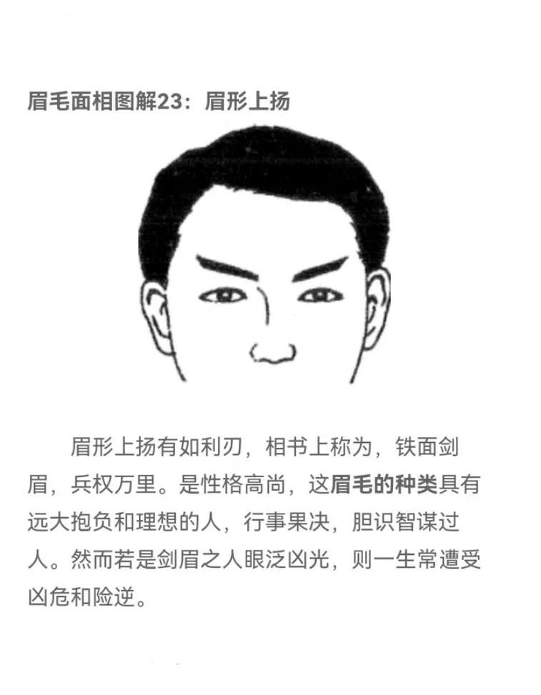眉毛长的男人面相图解
