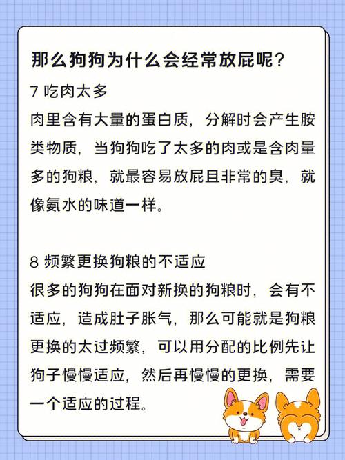 梦见狗放屁好不好,梦见狗放屁到底是什么意思?