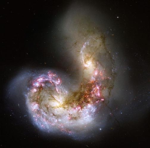 宇宙十大情花星系