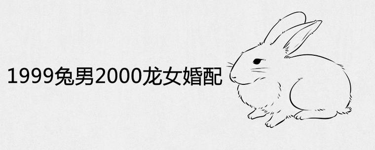 男龙女兔最后会分手吗？属兔人生于丑时好吗？
