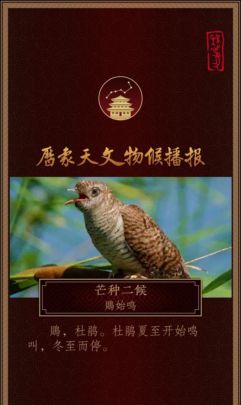 艾菲尔 十二生肖芒种运势6.6-6.21