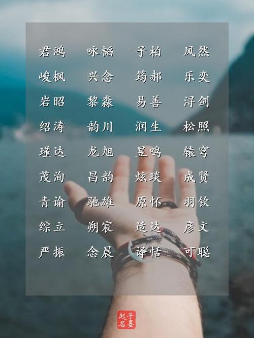 蔚意什么乐观的男孩名字