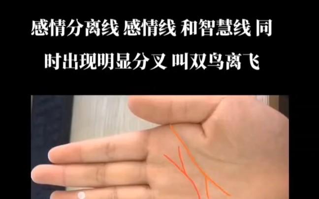 智慧线末端接近情感线意味着什么?