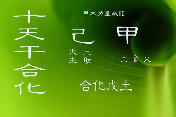 甲木男戊土女绝配