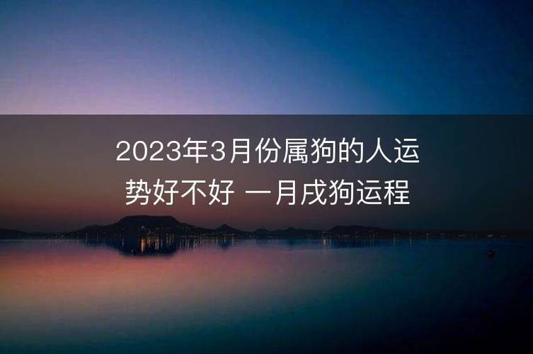 属狗2023年3月爱情运程