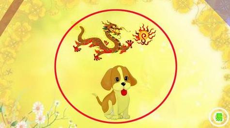 生肖属龙养狗破财是真的吗