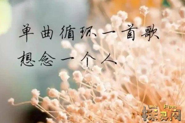属龙思念一个人到极致是什么感受