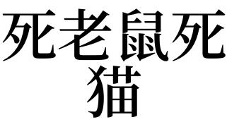 梦见死老鼠死猫