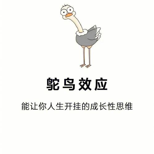 当感情出现问题时容易鸵鸟心态的星座女