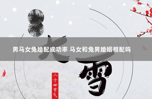 99年的男兔和02年的女马配吗
