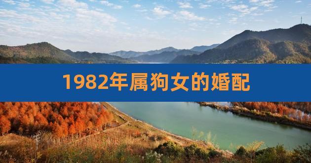 1982年属狗的女人婚配