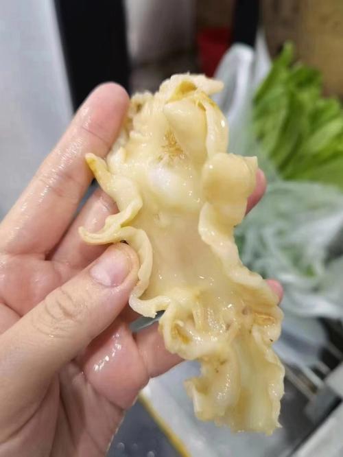 梦见鳕鱼怎么回事