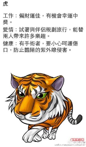 曼桦十二生肖本周运势12.22~12.28