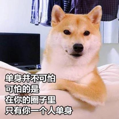 你不是一个人,属马如何假装不是单身狗