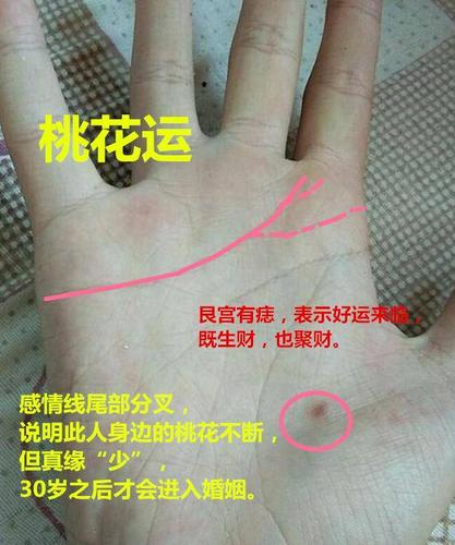 揭秘手相上的9大桃花纹