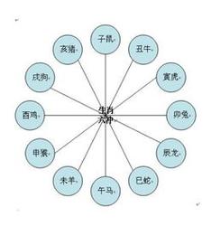 十二生肖如何应对职场遇冷