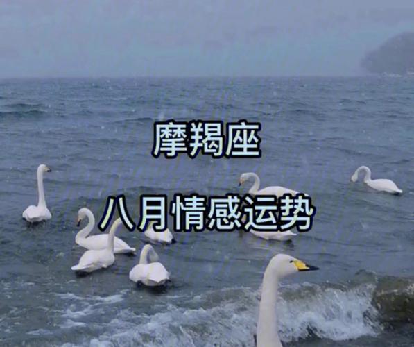摩羯座被人误会时会怎样