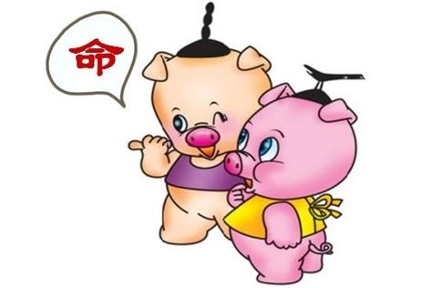 属猪的人2019年剩下时间适合跳槽吗?风水吉位在哪?