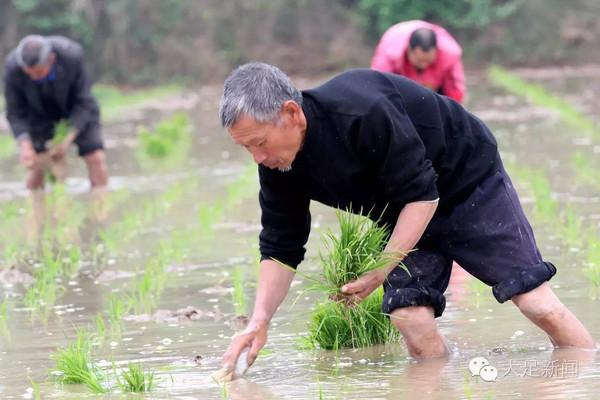 梦见伯伯周公解梦,梦见伯伯是什么意思?