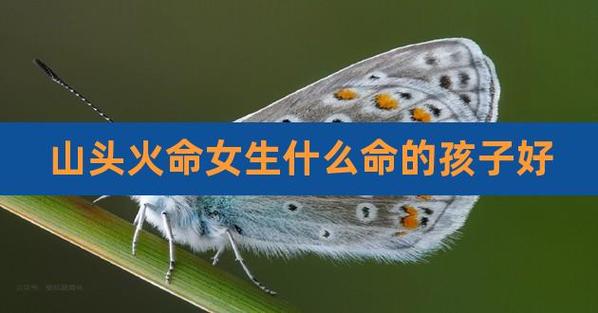 山头火命女孩好不好