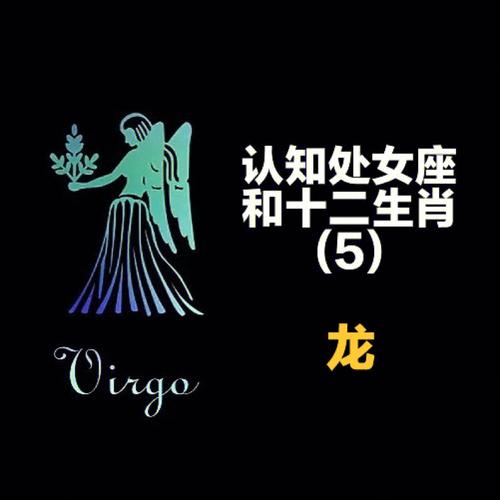 属龙人在假期主要都在做什么呢
