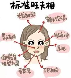 面相教你做个识相的好媳妇