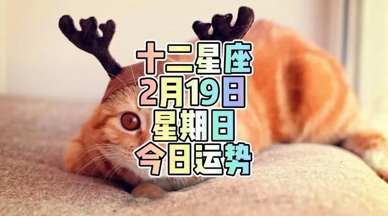 2月19日是什么星座呢