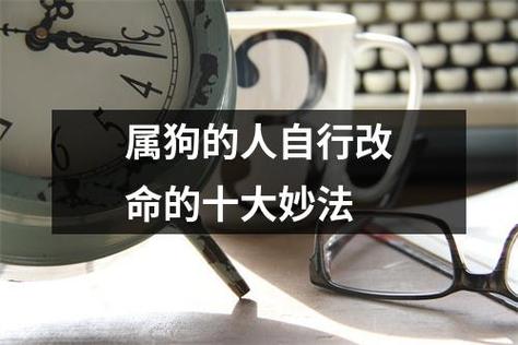 属狗的人自行改命的十大妙法