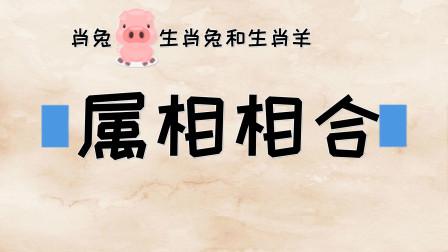 生肖羊男对谁会一见钟情