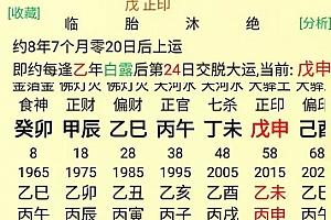 八字日柱为辛亥的命运