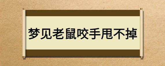 梦见老鼠咬我的手的周公解梦