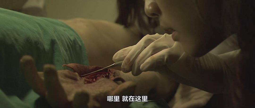梦见血腥死人场面